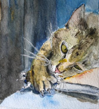 Yaramaz kedi masanın üzerinde çizim suluboya yatan