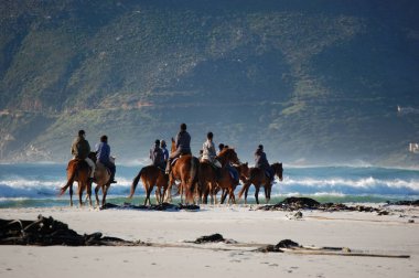 At binici yavaş yavaş dalgalar, okyanus ve dağ ile Güney Afrika, Cape Town, sahil boyunca sürme Plajı'nda bir grup