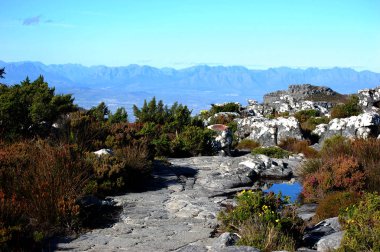 Table Mountain, Cape Town, Güney Afrika'nın güneş ışığındaki görünümü