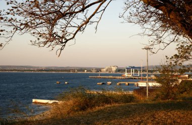 Eylül ayında Rusya 'nın Anapa kentindeki Karadeniz manzarası çimen ve ağaçla