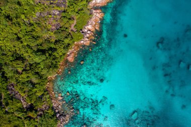 Kıyı şeridi ve turkuaz deniz, dron Hint Ocean.Top görünümünden Seyşel Adaları muhteşem havadan görünümü