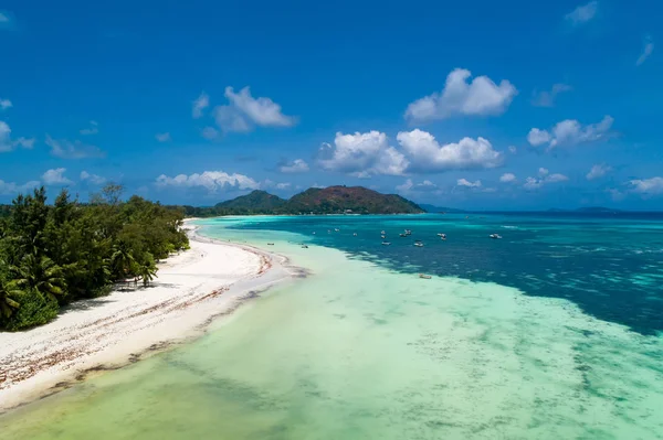 Tropická Pláž Mořem Palm Drony Pláž Moře Foto Letecký Pohled — Stock fotografie