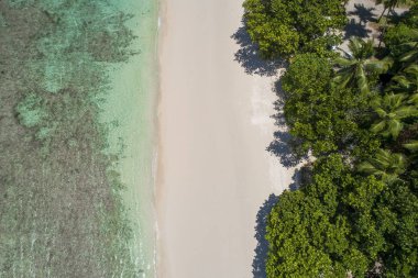 Tropikal Plajı ile deniz ve uçak alınan palmiye. Plaj ve deniz fotoğraf. Romantik plaj havadan görünümü.