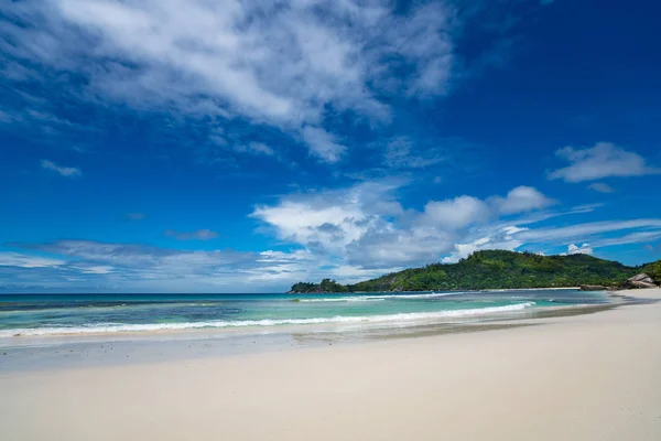 Krásná Pláž Pohled Pěknou Tropickou Pláž Dlaněmi Kolem Koncept Dovolené — Stock fotografie