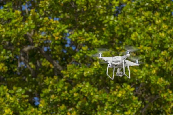 Drone Vol Arbres Verts Arrière Plan Accent Sélectif Sur Drone — Photo