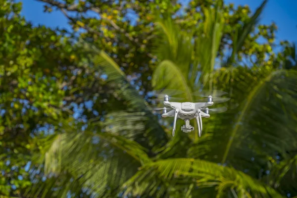 Drone Voo Árvores Verdes Segundo Plano Foco Seletivo Drone — Fotografia de Stock