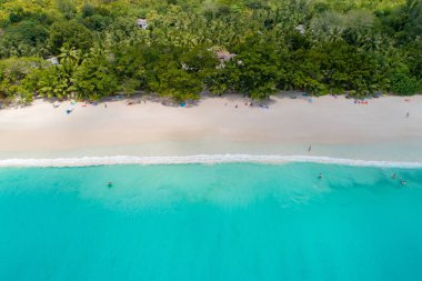 Turistlerin güzel, berrak deniz suyunda yüzdüğü kumlu sahil manzarası.