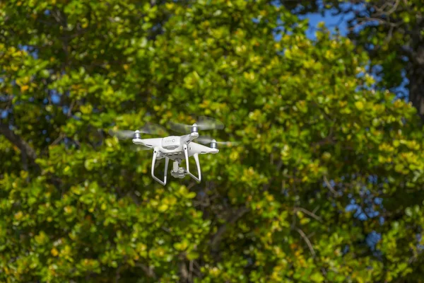 Drone Vol Arbres Verts Arrière Plan Accent Sélectif Sur Drone — Photo