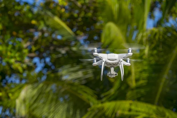 Drone Vol Arbres Verts Arrière Plan Accent Sélectif Sur Drone — Photo