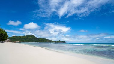 Güzel sahil. Etrafta palmiyeler olan güzel tropikal plaj manzarası. Tatil ve tatil konsepti. Tropik plaj.