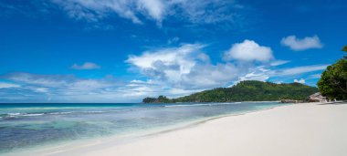 Güzel bir plaj. Güzel tropikal plaj avuç görünümünü. 