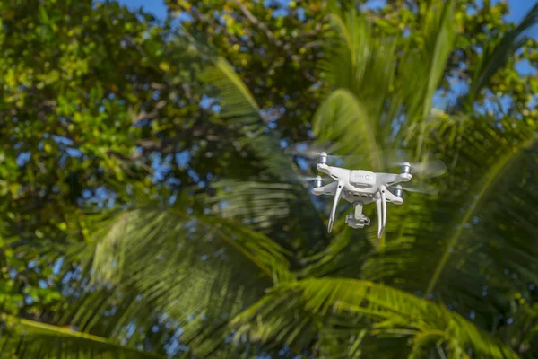 Drone em voo, árvores verdes em segundo plano, foco seletivo — Fotografia de Stock