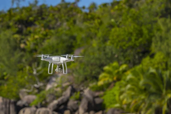 Drohne im Flug, grüne Bäume im Hintergrund, selektiver Fokus — Stockfoto