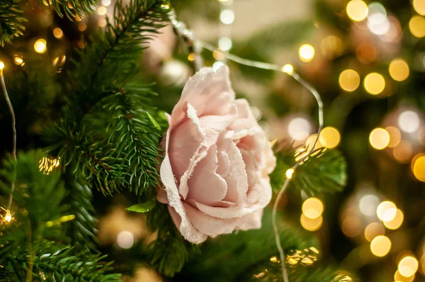 Decoraciones de Navidad rosa y dorada en rama de pino — Foto de Stock