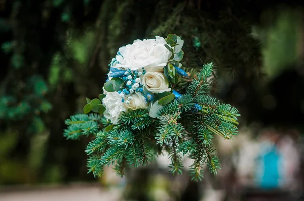 Bouquet of white flowers on the tree branch — Stock Photo, Image
