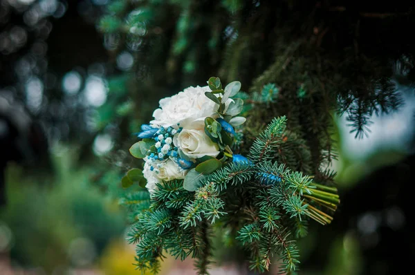 Букет белых цветов на ветке дерева — стоковое фото