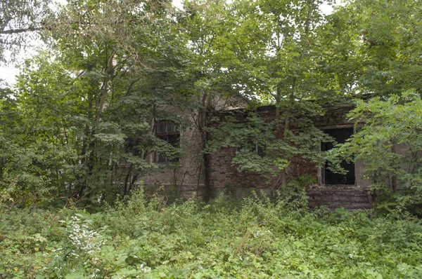 Opuszczone laboratorium chemaical w drzewach — Zdjęcie stockowe
