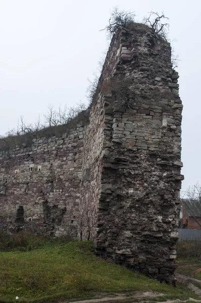 Buchcach kale terk edilmiş kalıntıları — Stok fotoğraf