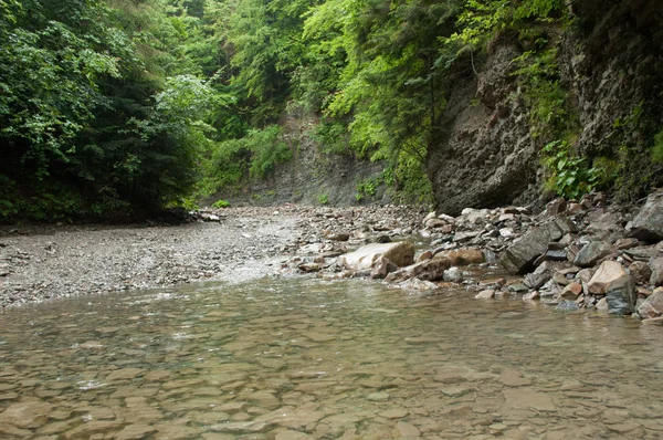 A mountaine folyón a víz körüli sziklák és fák körül — Stock Fotó