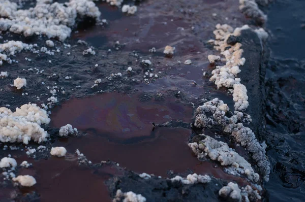 沼泽中的泥浆和白色结晶沉积物 — 图库照片