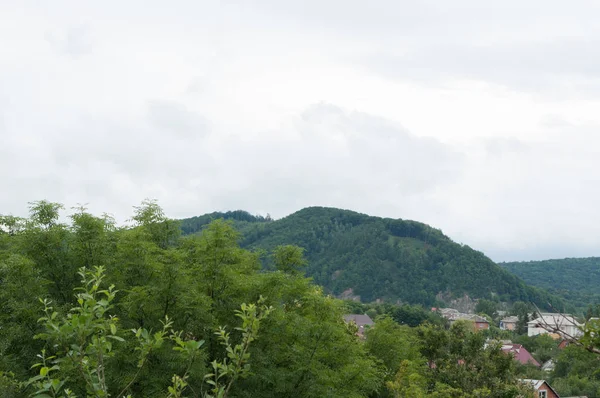 Yeşil ile şehir ve dağ manzara görünümü — Stok fotoğraf