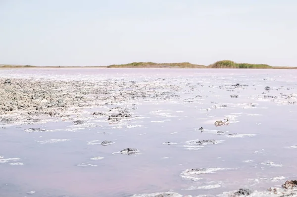 Vista paisagem sobre o sal rosa Lago Lemurisk — Fotografia de Stock