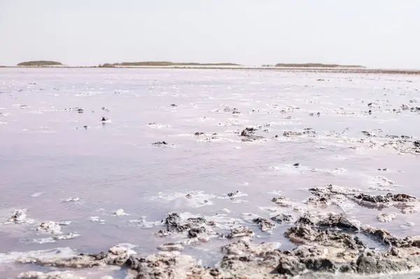 Vista paisagem sobre o sal rosa Lago Lemurisk — Fotografia de Stock