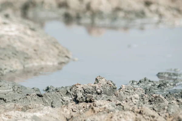 粉红盐湖中含盐的泥浆 — 图库照片