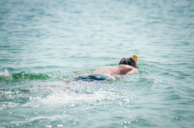 Okyanusta şnorkel maskesi ile yüzen adam
