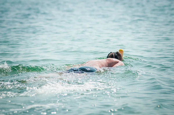 Man zwemmen met snorkel masker in de Oceaan — Stockfoto