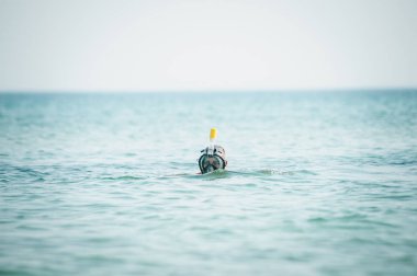 Okyanusta şnorkel maskesi ile yüzen adam
