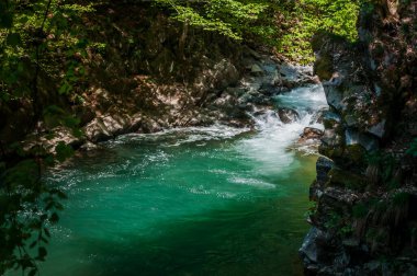 Mavi Göl, ormandaki kayaların arasındaki dağ nehri.