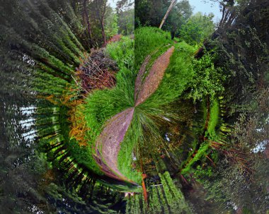 Yeşil ormanın dairesel manzarası ve ortadaki patika