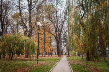Sonbahar, park, ağaçlardaki sarı yapraklar