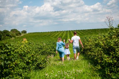 Aile üzümlü bahçede yürüyor.