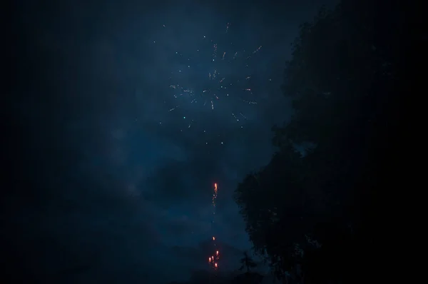 夜空中的烟火 — 图库照片