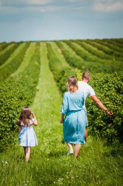 Aile üzümlü bahçede yürüyor.