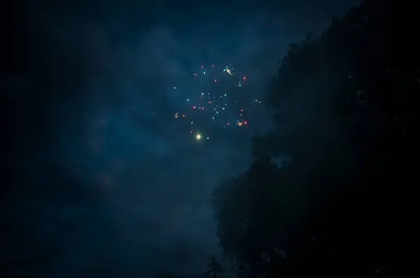 夜空の花火 — ストック写真