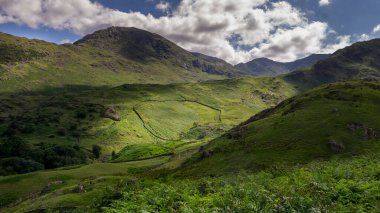 Yuvarlak bir çiftlik duvarının manzarası, İngiltere 'nin Lake District UK bölgesindeki Langdales' de yaz güneşiyle aydınlanır.