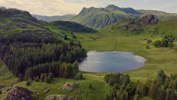 Blea Tarn Drone Beelden Blea Moss Blea Tarn Lake District — Stockvideo