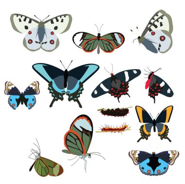 kelebek simgeler ayarlayın