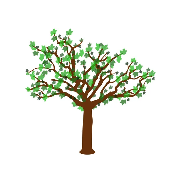 renkli bahar ağacı