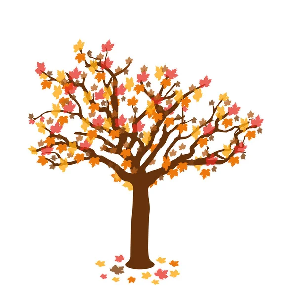 Sonbahar yapraklı ağaç