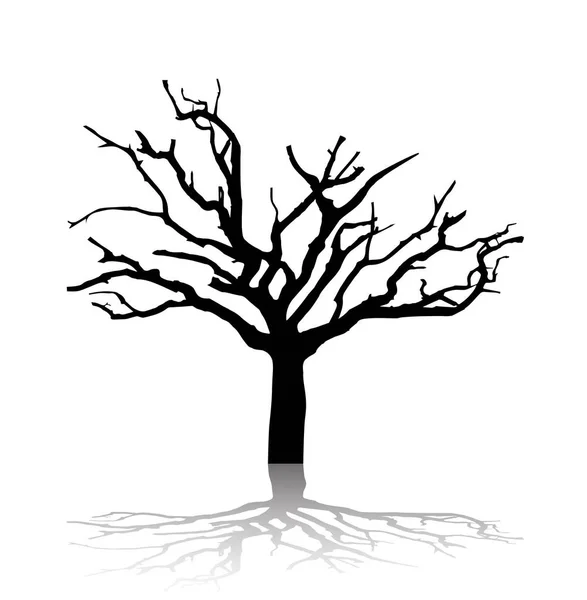 beyaz izole ağaç siluet