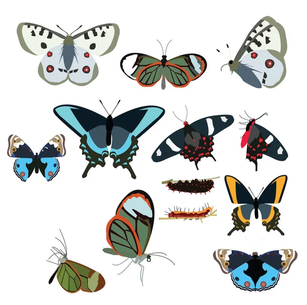 kelebek simgeler ayarlayın