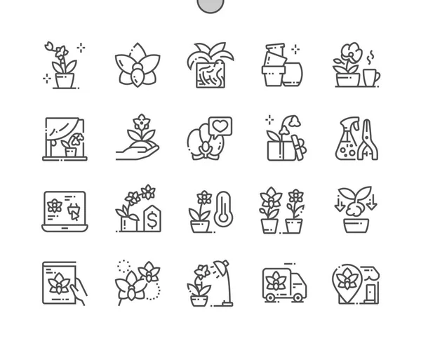 Orkidéer väl utformad pixel perfekt vektor tunna linje ikoner 30 2x rutnät för webbgrafik och appar. Enkelt minimalt piktogram — Stock vektor