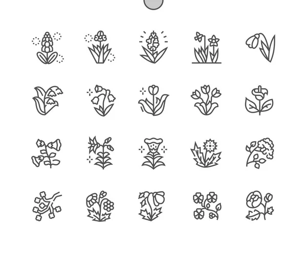 Frühlingsblumen gut gearbeitete Pixel perfekte Vektor dünne Linie Symbole 30 2x Raster für Web-Grafiken und Apps. einfaches minimales Piktogramm — Stockvektor