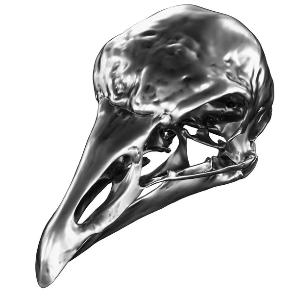 Металевий птах Вид на кут черепа на білому фоні — стокове фото