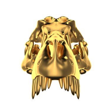 Tyrannosaurus Rex altın kafatası üzerinde beyaz izole