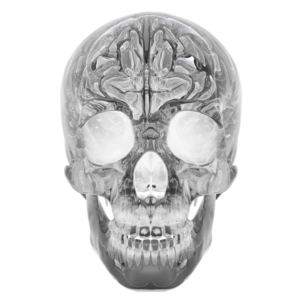 3D illustration av Crystal Skull - isolerad på en vit bakgrund — Stockfoto